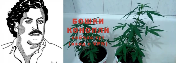 ALPHA PVP Богородицк