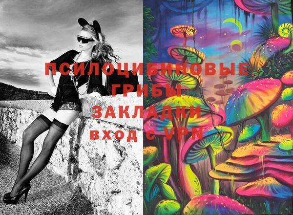 mdma Богданович