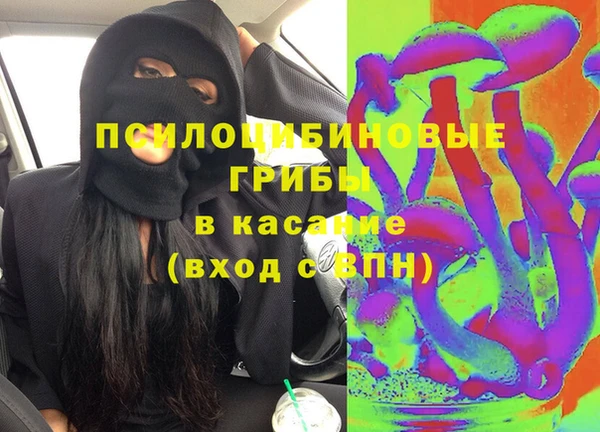 ALPHA PVP Богородицк