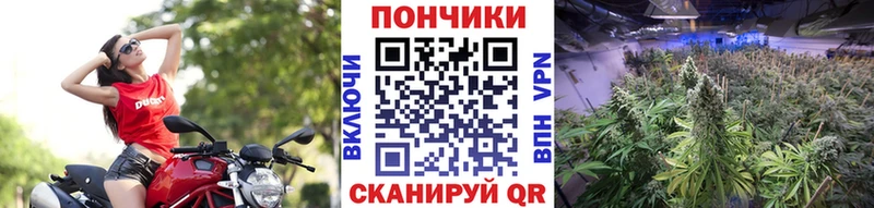 гидра сайт  Остров  Бошки марихуана сатива  где найти наркотики 